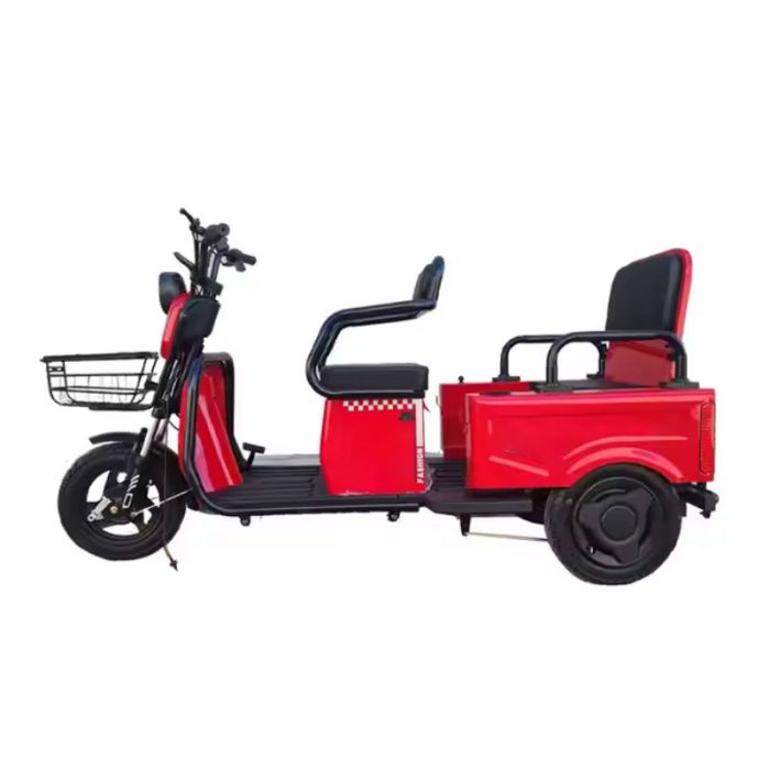 Electric Tricycle for Adults with Disabilities