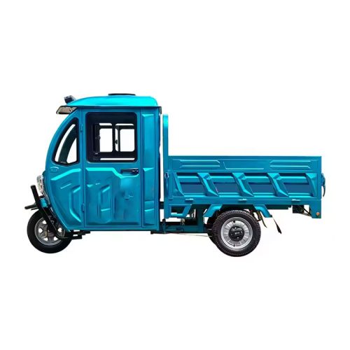 Electric Tricycle with Battery Conversion Kit