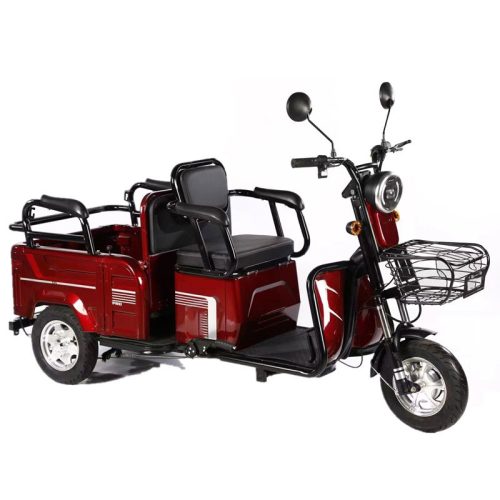 Lightweight Folding Electric Tricycle