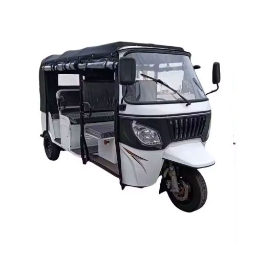 Electric Trishaw Singapore