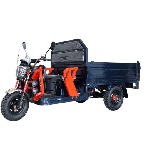 Electric Fat Tire Tricycle for Adults