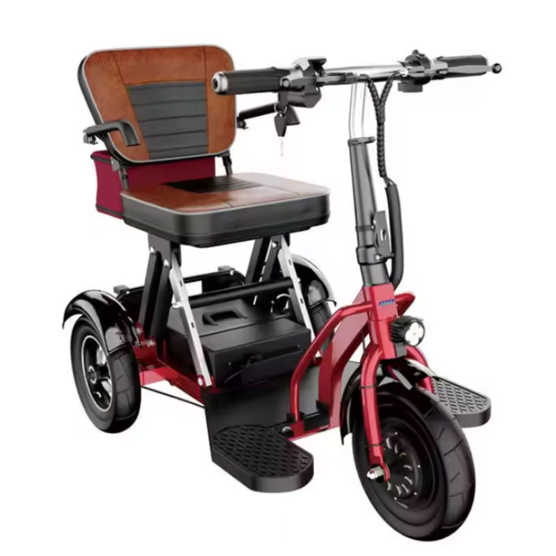 Electric Handicapped Tricycle