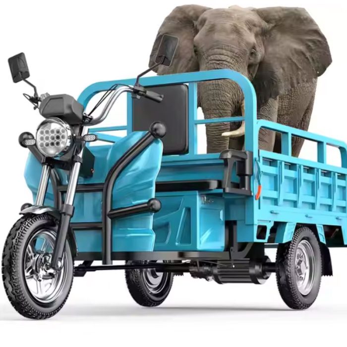 Used Three Wheel Motorcycle for Sale