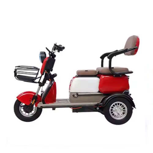 Adult Liberty Smart Trikes Tricycle