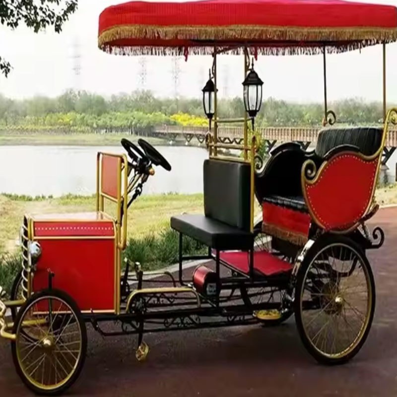 Three Wheel Trike Taxi for Sightseeing