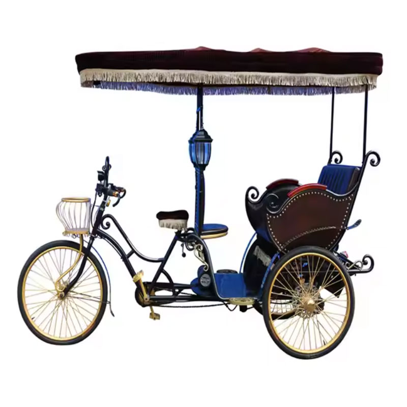 Three Wheel Tricycle Electric Rickshaw Pedicab