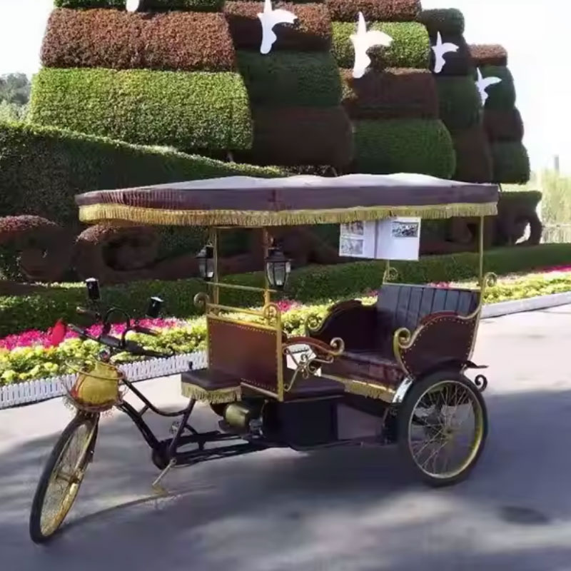 045 Three Wheel Tricycle Electric Rickshaw Pedicab