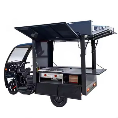Indian Food Truck for Sale