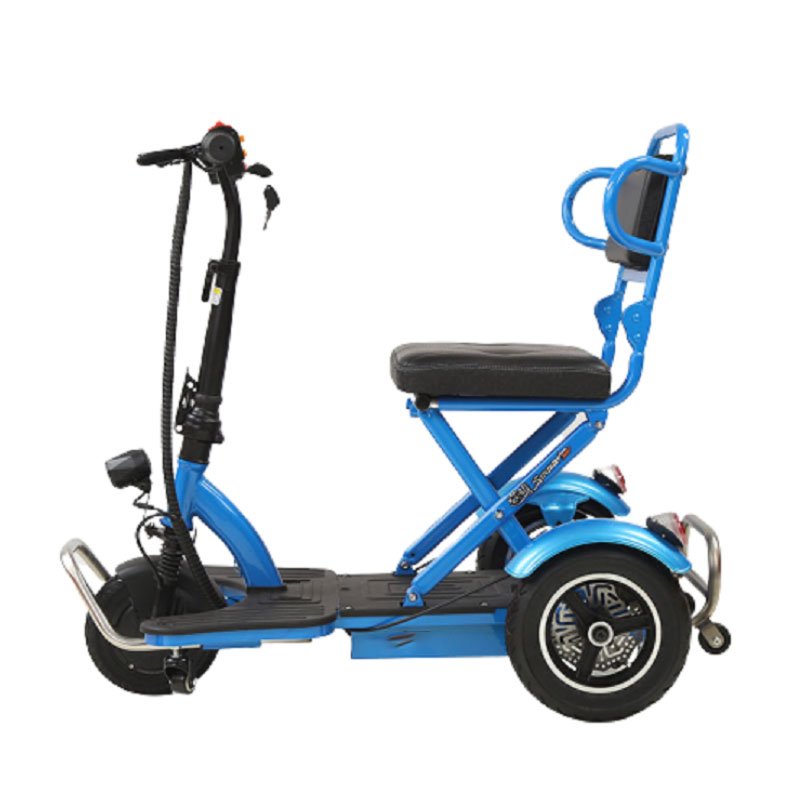 bluey tricycle
