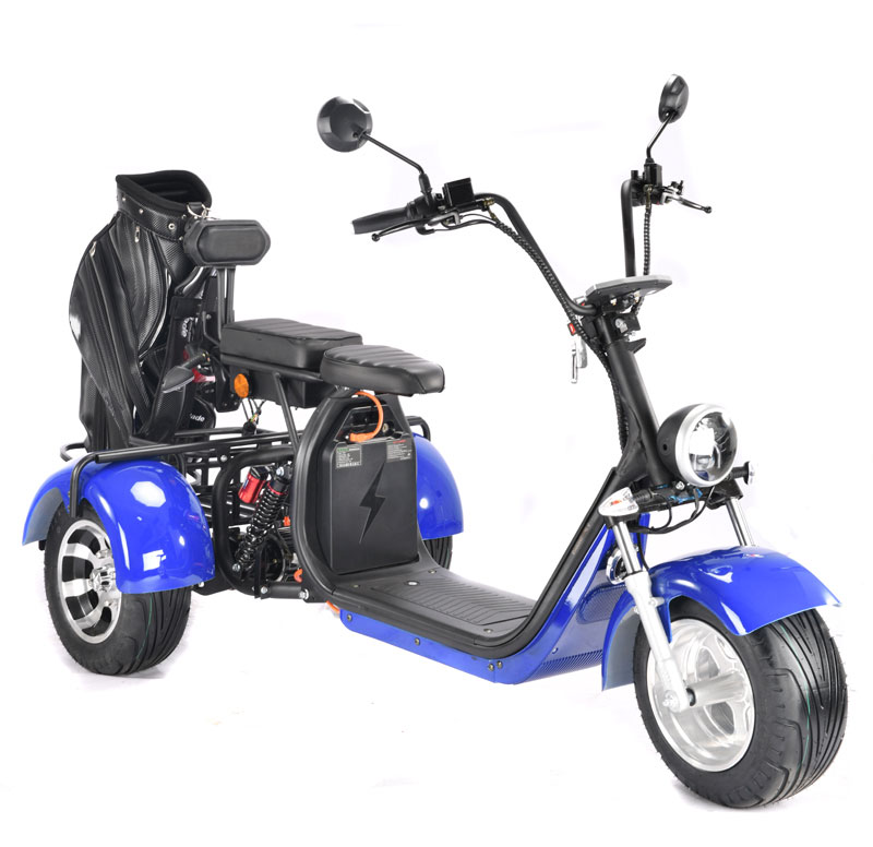 Fat Tire Golf Cart Scooter