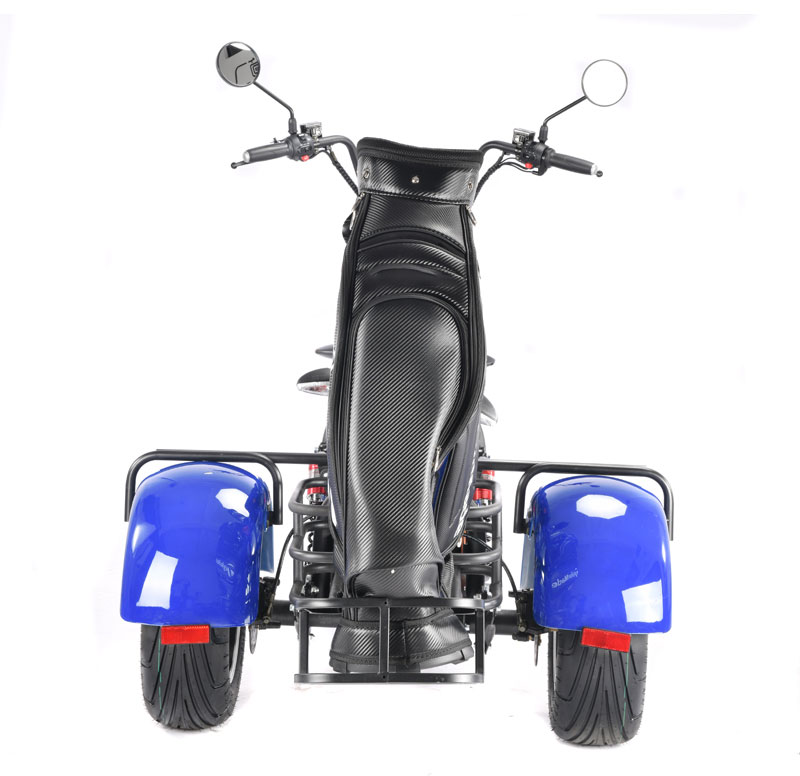 Fat Tire Golf Scooter