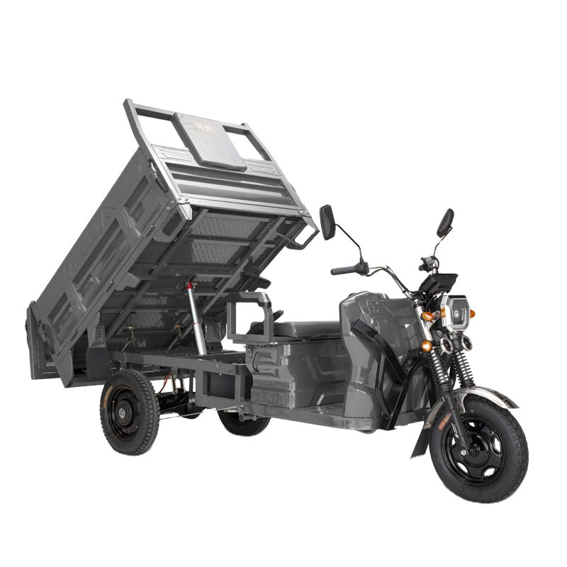 Used Recumbent Trikes For Sale Near 44319