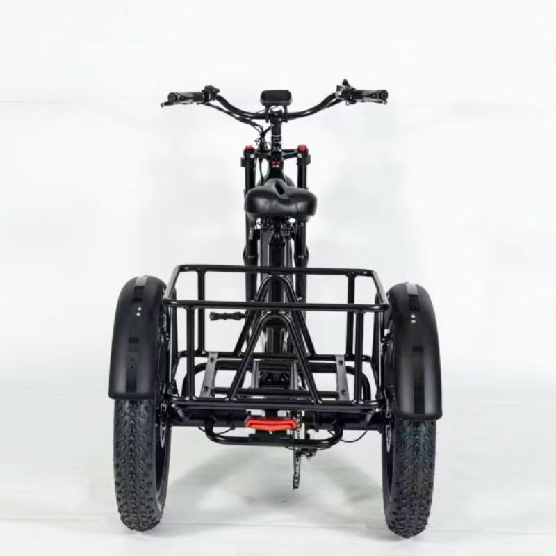 203 Ultralight Trike For Sale