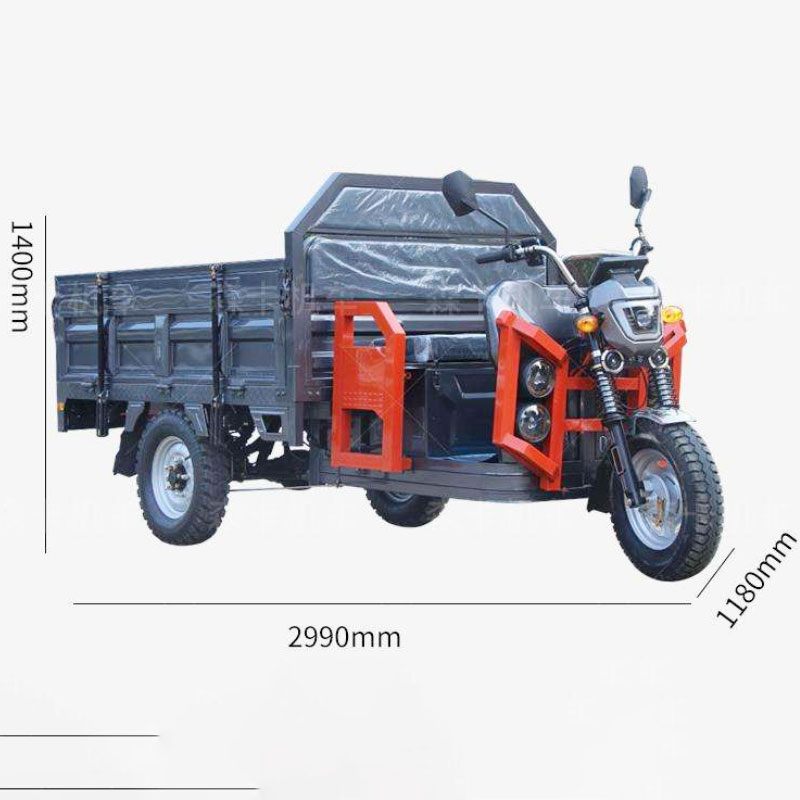Three Wheel Electric Trike​