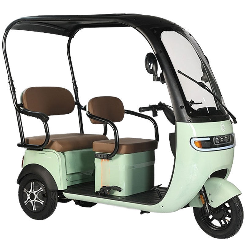 Ollie Leo Electric Trike