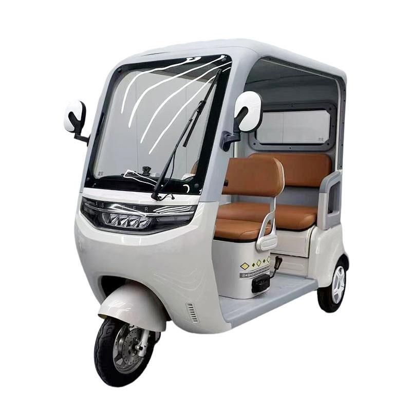 Ollie Leo Electric Trike