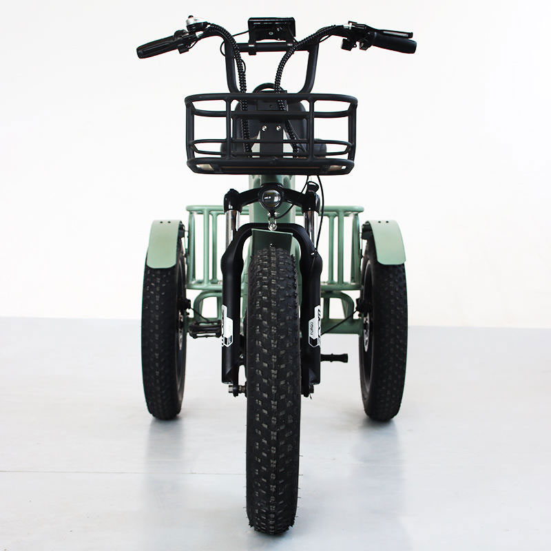 E Tricycles For Adults​