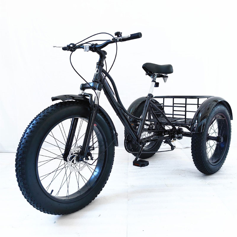 Tricycle Recumbent Bicycle​