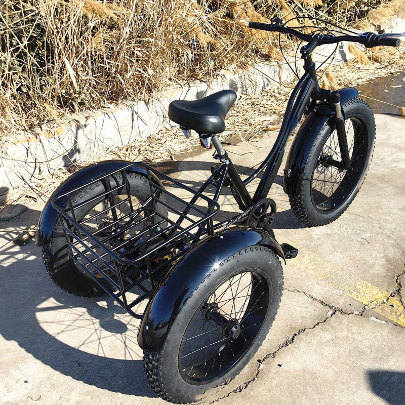 Tricycle Recumbent Bicycle 
